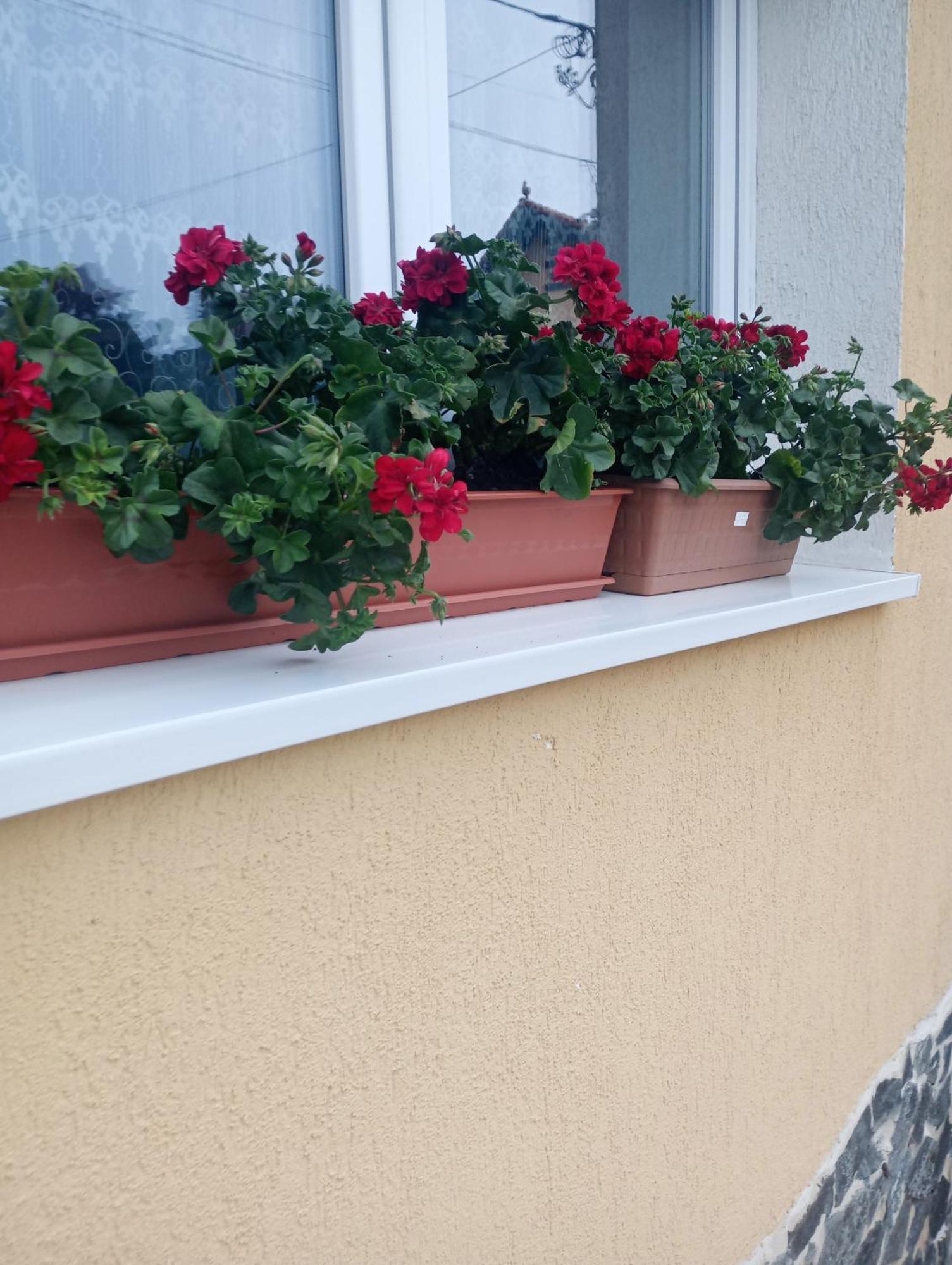 Izabella Guest House Сэчеле Экстерьер фото